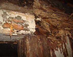 Rotten/Damaged Wall