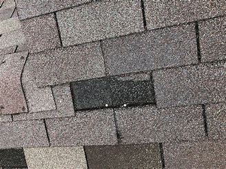 Damaged Shingles